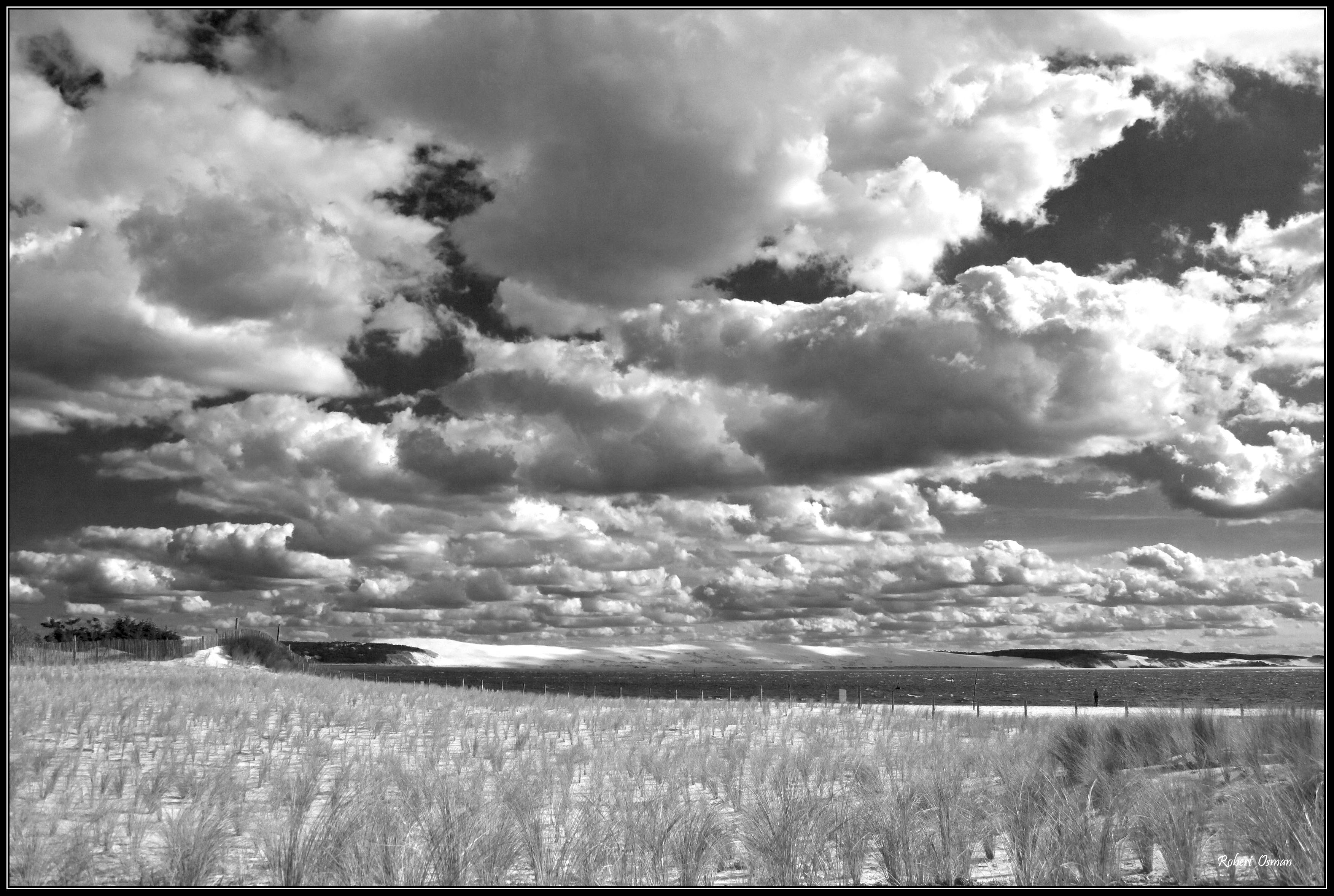 photo en noir et blanc et couleur
